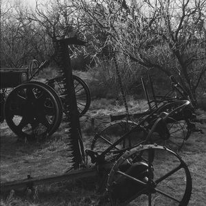 Meet your Posher, Becca